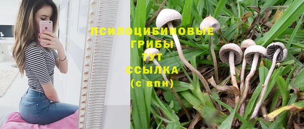 каннабис Алексеевка