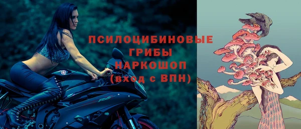МДПВ Алексин