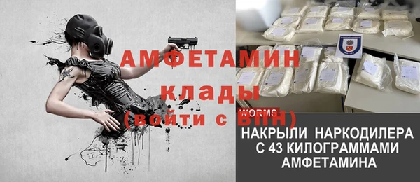 хмурый Арсеньев
