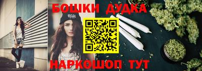 молекула духа Вышний Волочёк
