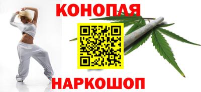 молекула духа Вышний Волочёк