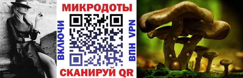 Галлюциногенные грибы MAGIC MUSHROOMS  что такое   Геленджик 