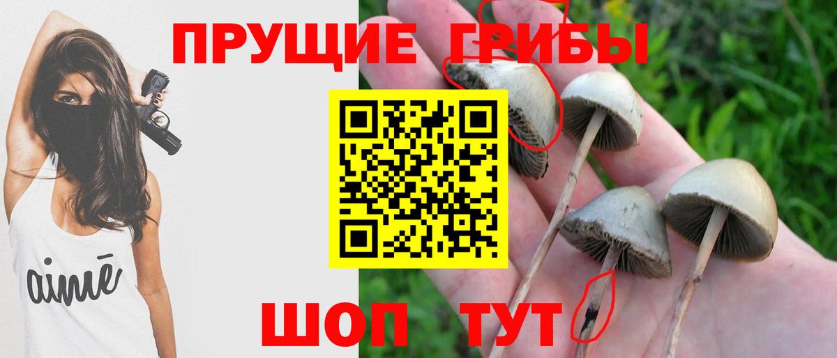 магазин продажи   Псилоцибиновые грибы Psilocybe  Вход с VPN  Геленджик 