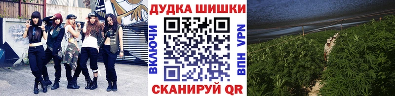купить закладку  Геленджик  Каннабис Ganja 